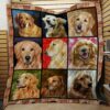 Golden Retriever Moments Premium Quilt Bz63
